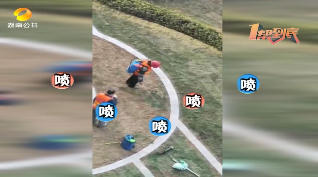 DƬ